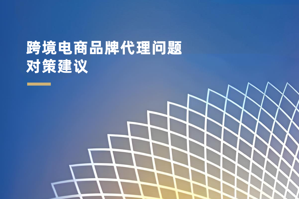跨境电商品牌代理问题对策建议